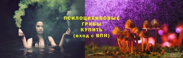 скорость Козловка