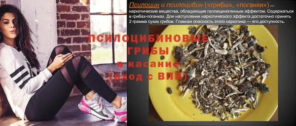 метадон Александровское