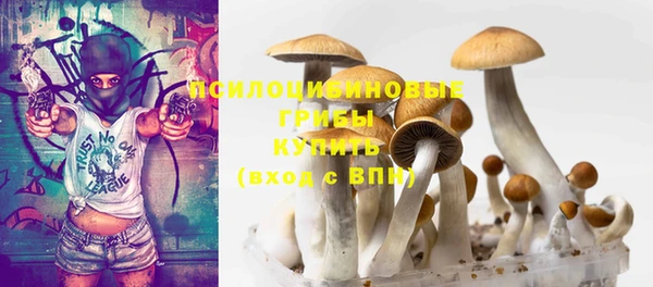 метадон Александровское